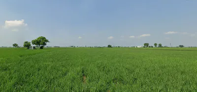 Nurpur Bedi, Punjab 140117, India preview 3