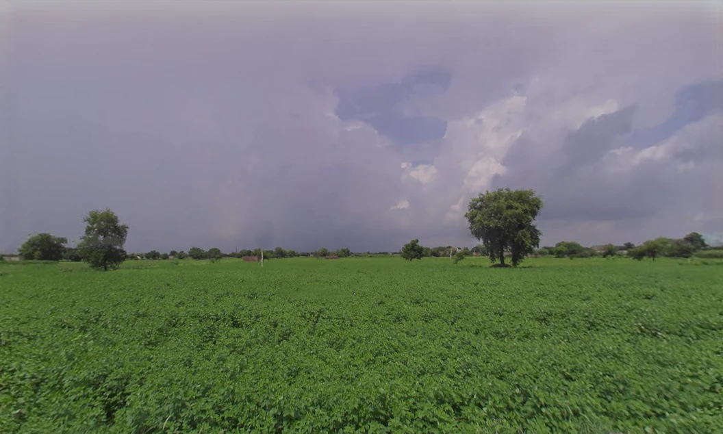 Chaudhariwas, Haryana 125007, India