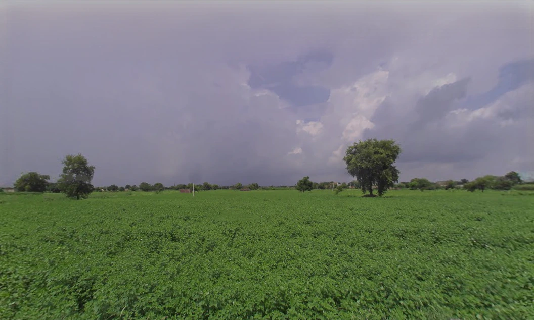 Chaudhariwas, Haryana 125007, India