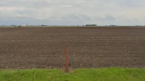 Nivi, Madhya Pradesh 475220, India preview 3