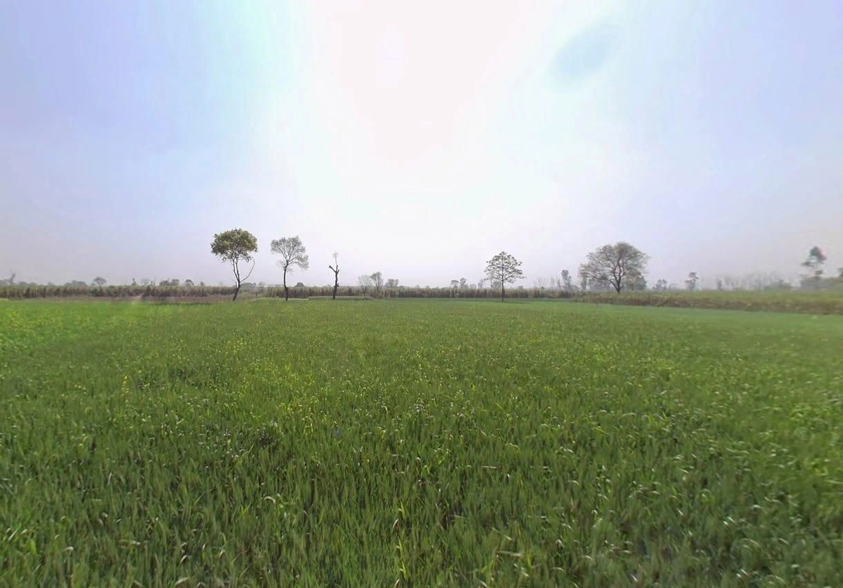 Nangla, Uttar Pradesh 250401, India