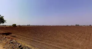 Vekra, Gujarat 384445, India preview 3