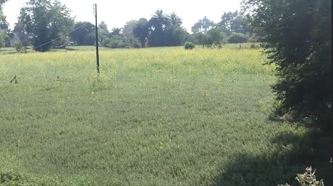 Ganj Basoda, Madhya Pradesh 464221, India