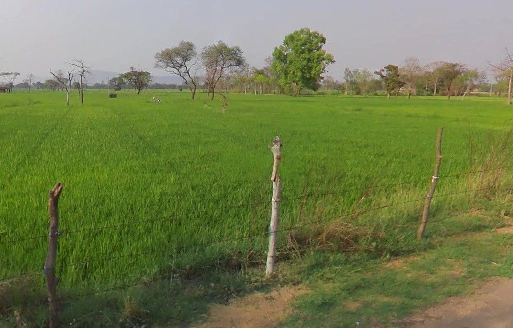 Pachpedi, Chhattisgarh, India