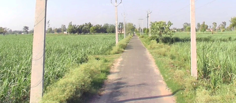 Pipliya Bujurg, Madhya Pradesh 451225, India