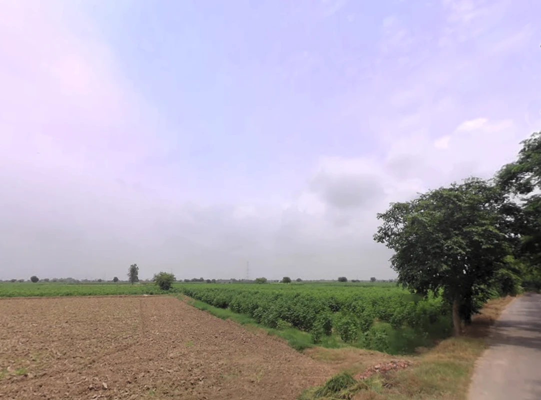 Meham, Haryana 124112, India