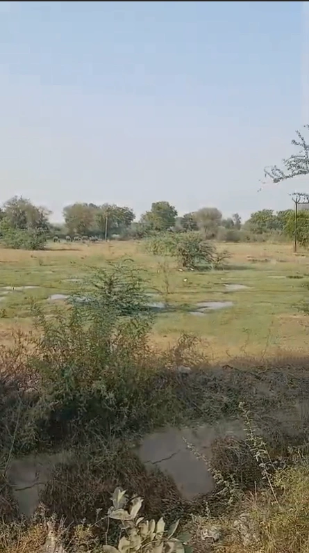Sanadra, Gujarat, India