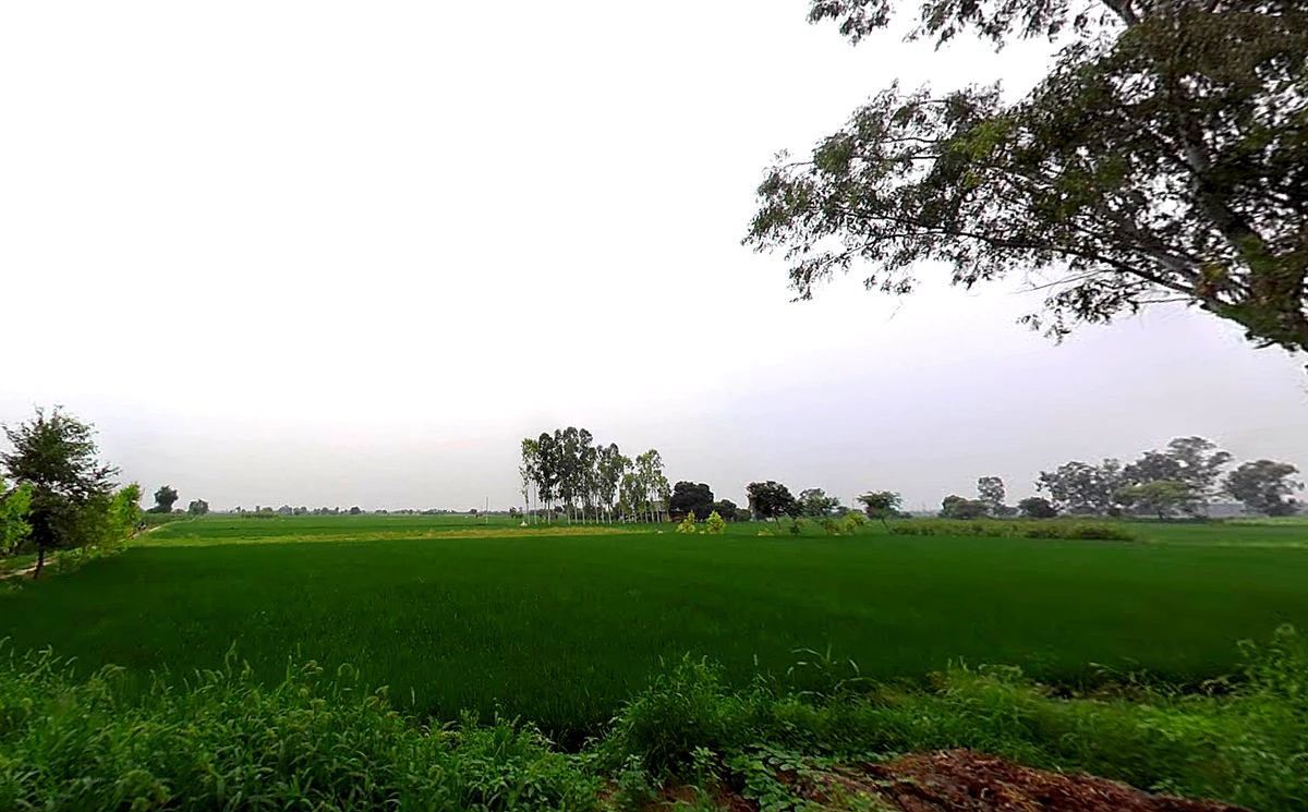 Shahpur, Haryana 132107, India