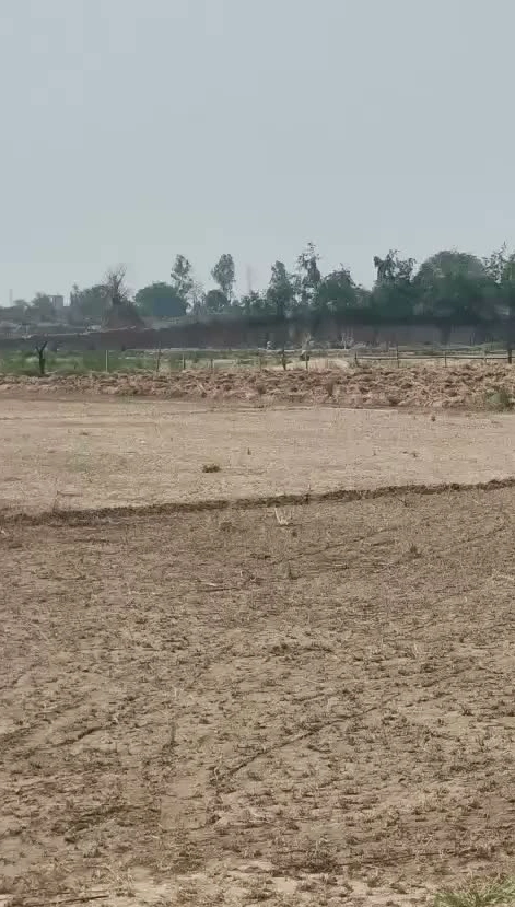 CRRR+8J Hadarhera, Alwar, Rajasthan, India