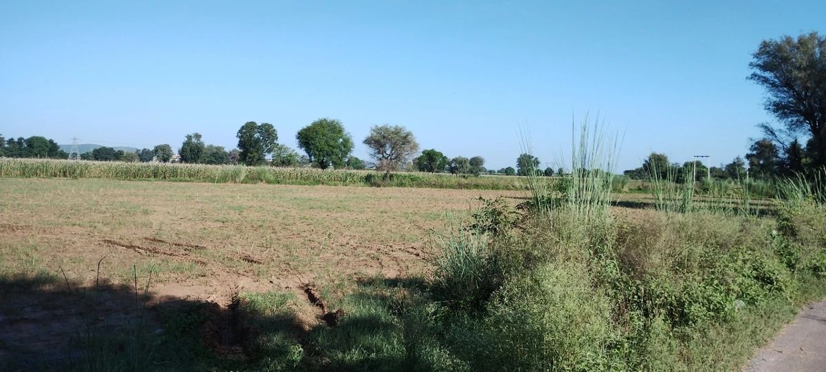 Nizamnagar, Rajasthan 301021, India