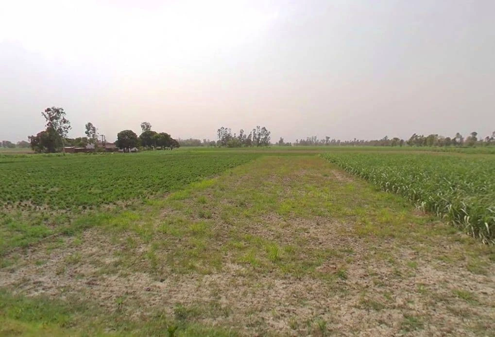 767G+WW Mandanpur T. Sujanpur, Uttar Pradesh, India