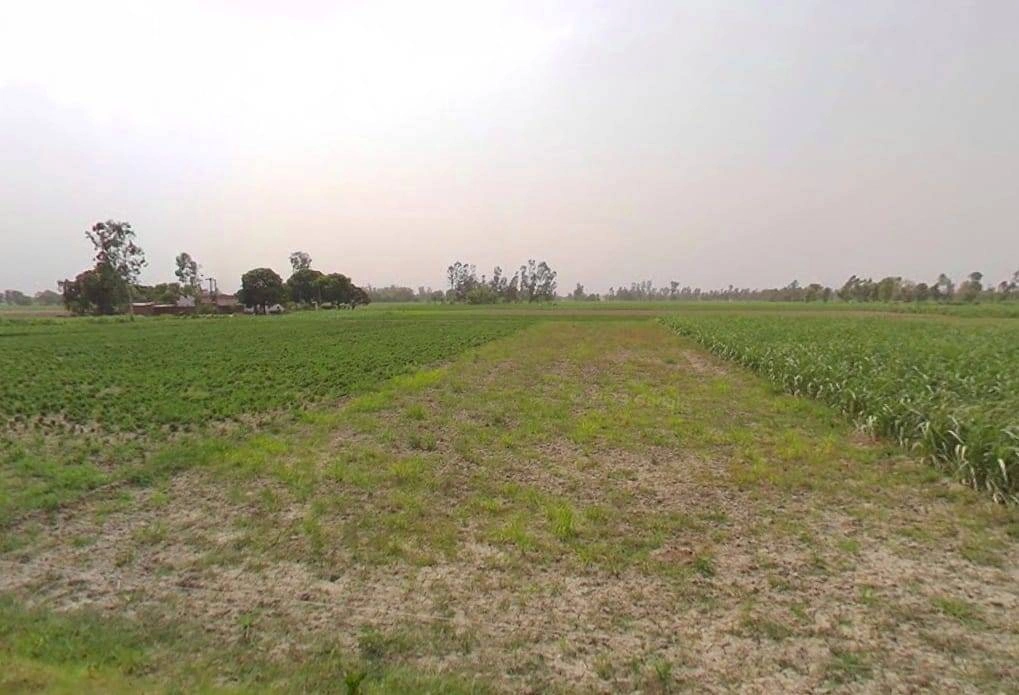 767G+WW Mandanpur T. Sujanpur, Uttar Pradesh, India