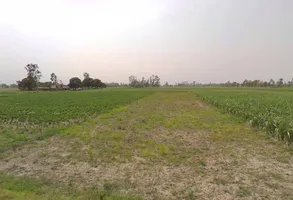 767G+WW Mandanpur T. Sujanpur, Uttar Pradesh, India preview 3