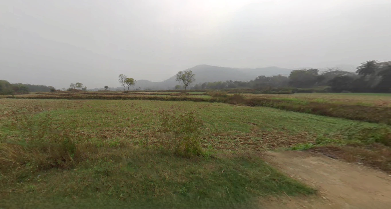 Jagannath Temple Rd, Bali Sahi, Puri, Odisha 752001, India