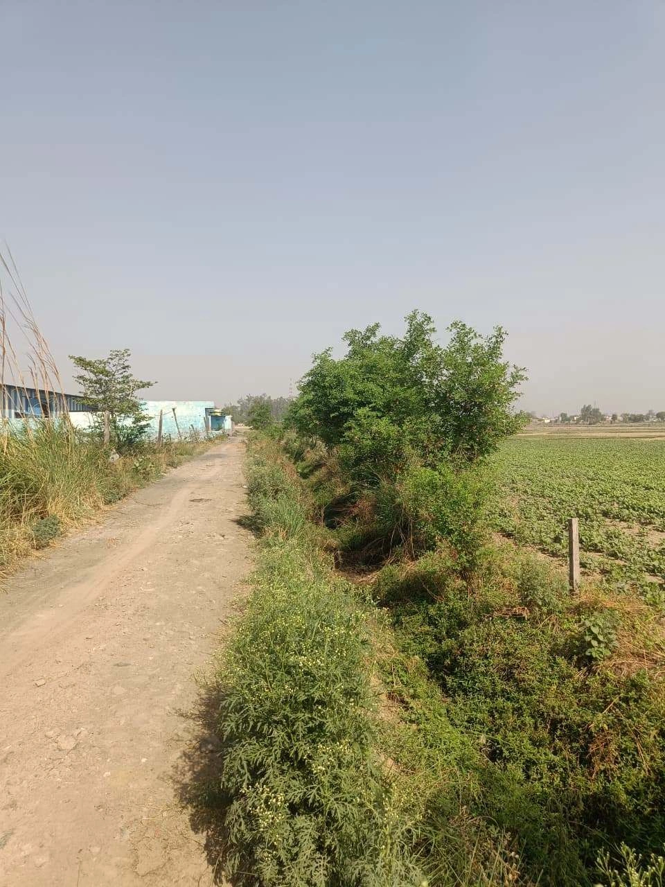 Ajhai Kalan, Uttar Pradesh 281406, India