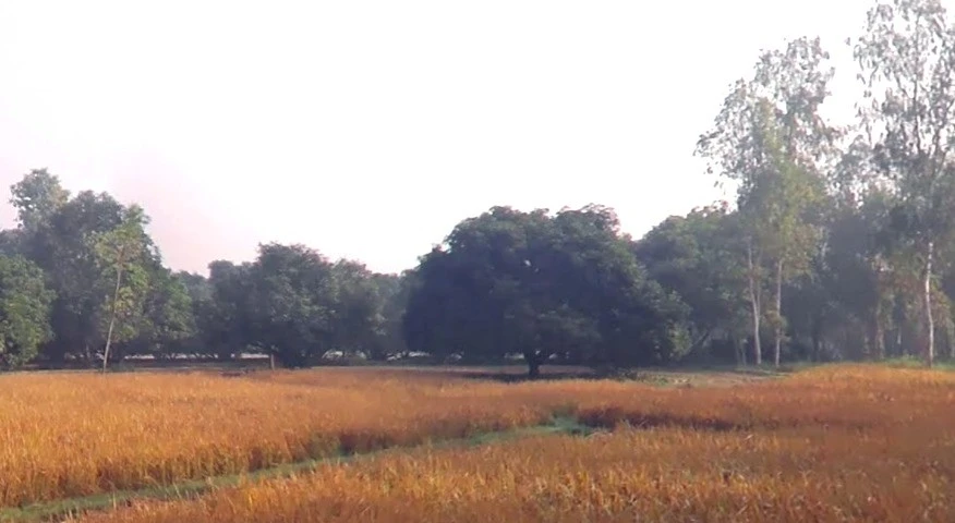 Bhojpur, Madhya Pradesh 464993, India