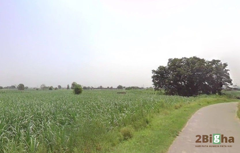 Pithlokar, Uttar Pradesh 250342, India