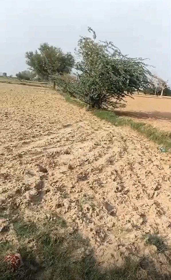 Weir, Rajasthan 321408, India