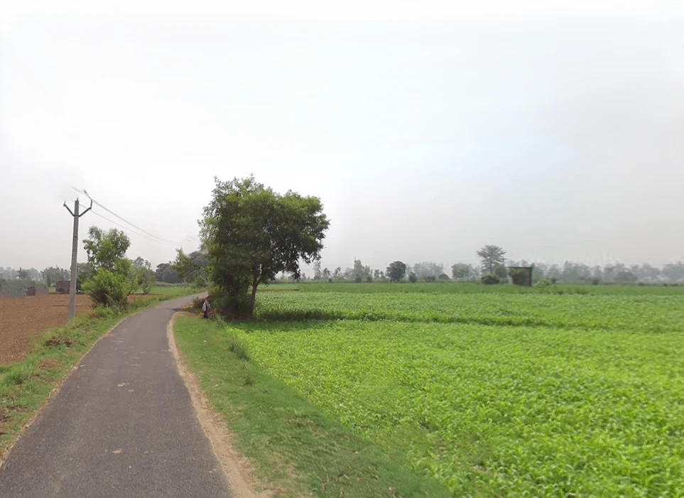 Hastinapur, Uttar Pradesh 250404, India