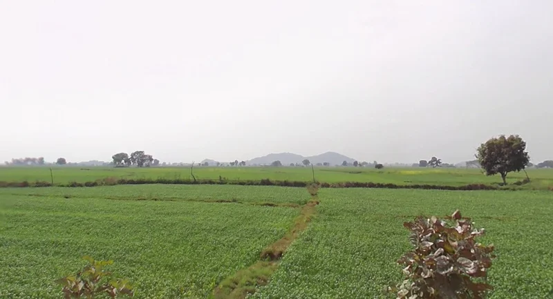 Bamroul, Madhya Pradesh 475220, India preview 2