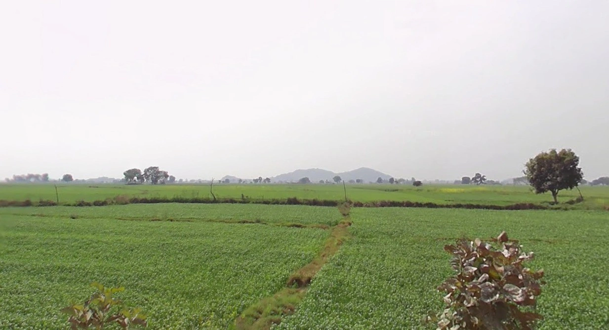 Bamroul, Madhya Pradesh 475220, India