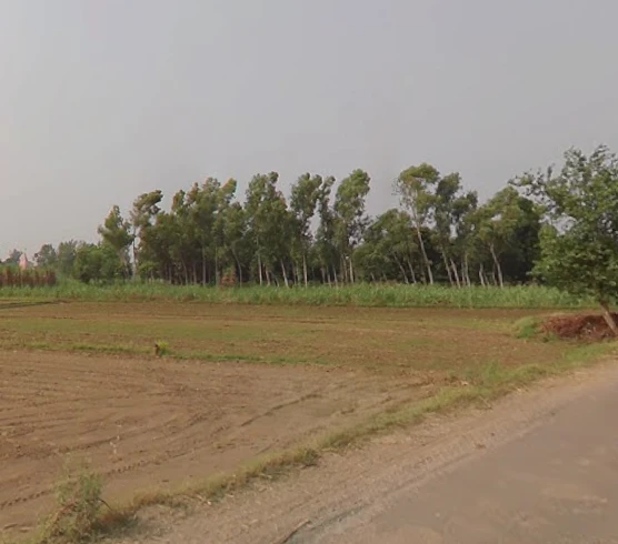 Mawana, Uttar Pradesh, India