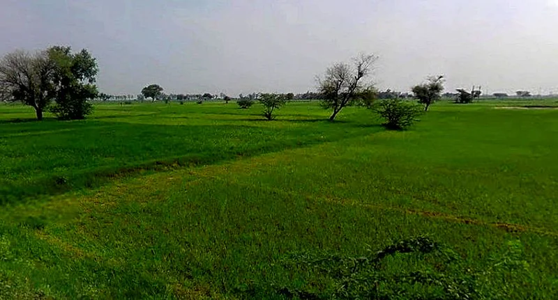 Chandla, Madhya Pradesh 471525, India preview 3