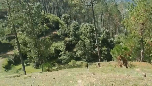 East Hopetown, Dehradun, Uttarakhand, India preview 2