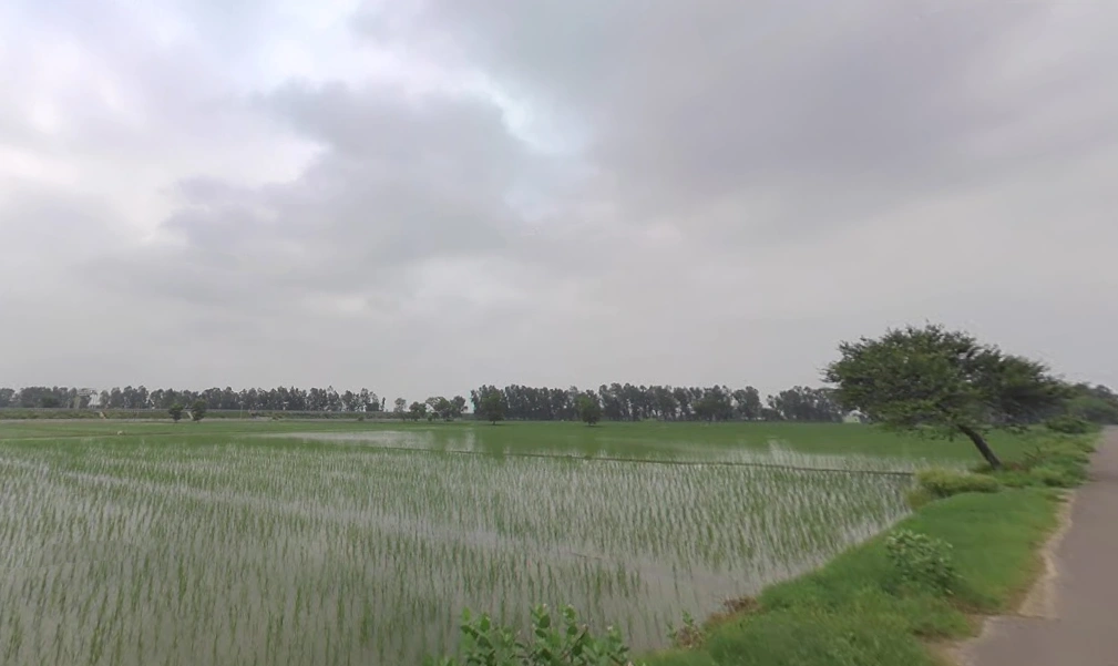 Shekhupur Titri, Haryana, India