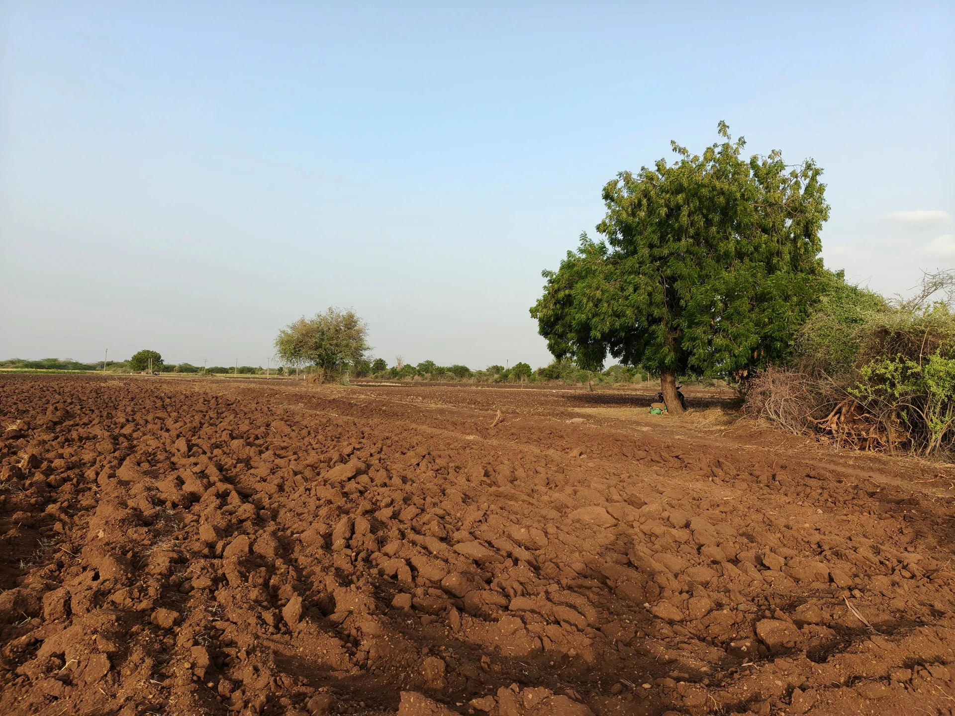 Makda, Gujarat, India