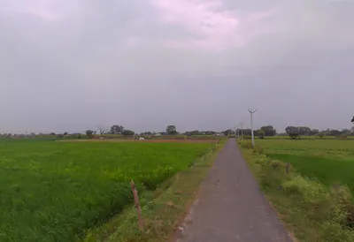 Mant, Uttar Pradesh 281202, India preview 2