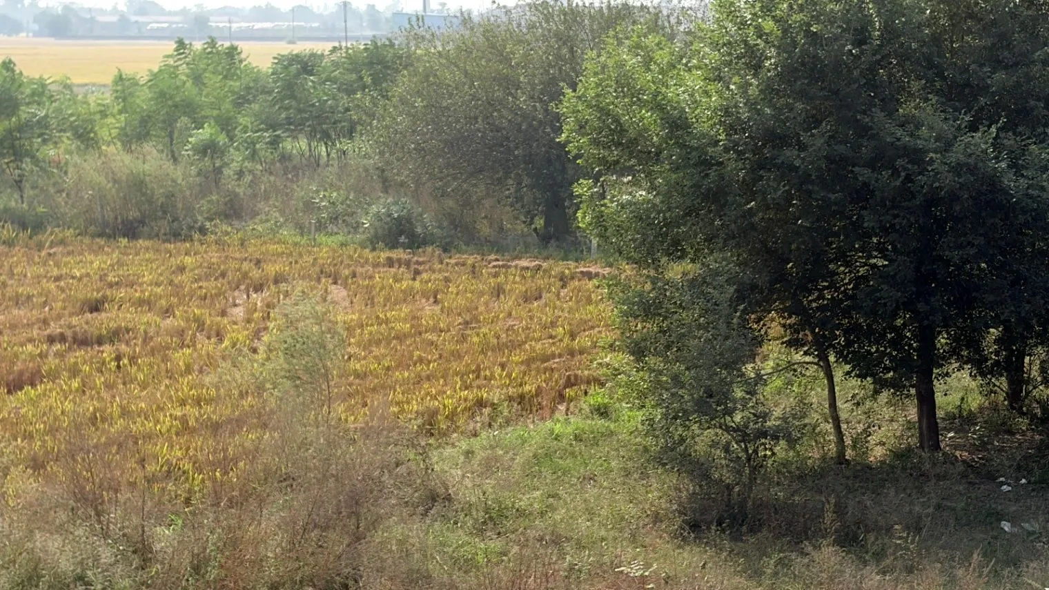 Girwai, Gwalior, Madhya Pradesh 474001, India - Photo 3