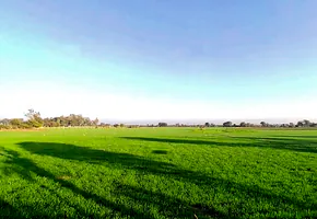 Mawana, Uttar Pradesh, India preview 3