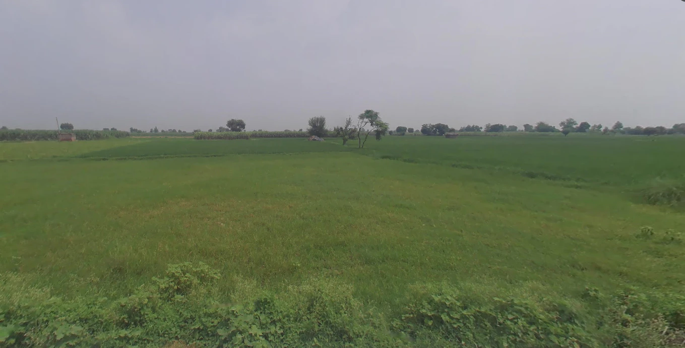 Anupshahar, Uttar Pradesh 203390, India