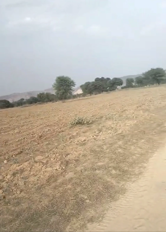 29F3+JJ Kableshwar, Rajasthan, India