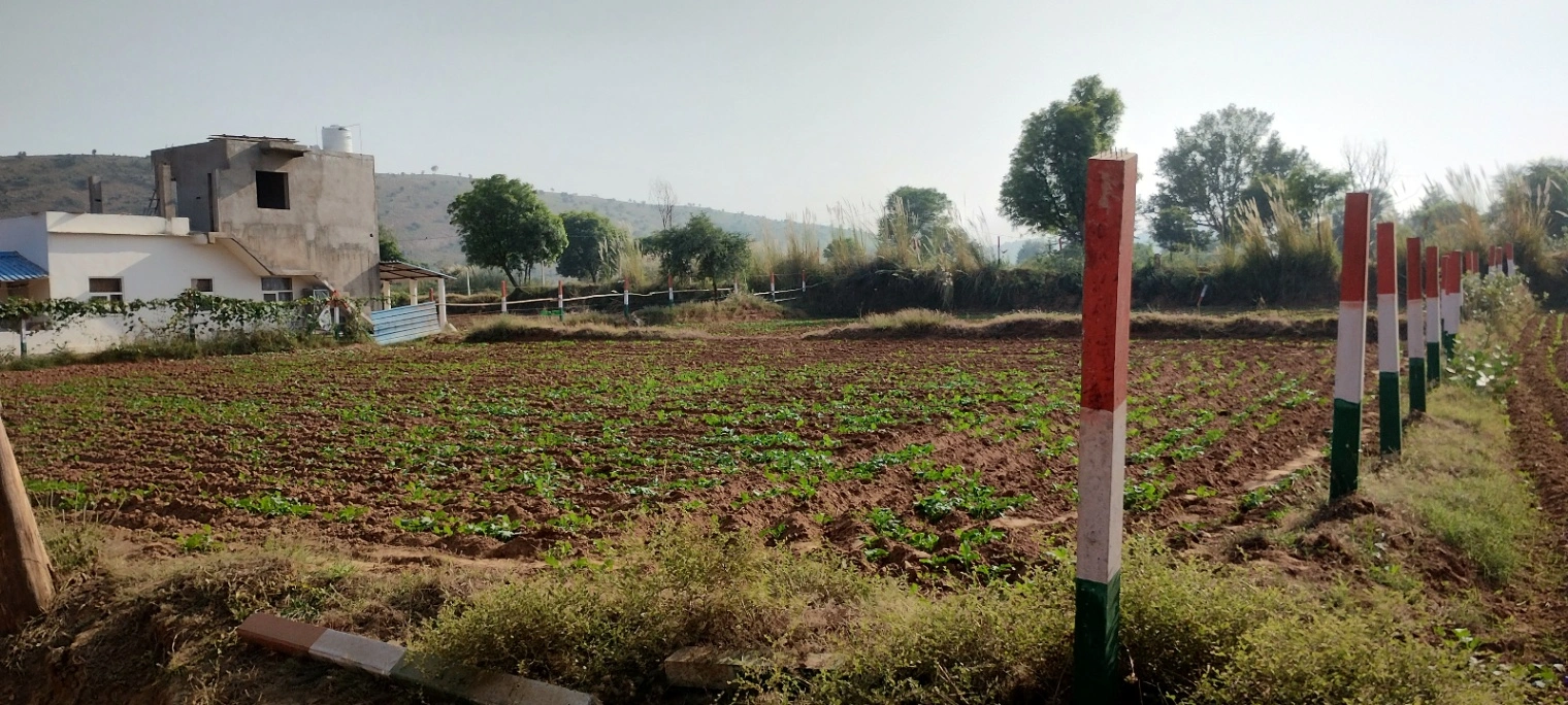 Kerwawal, Rajasthan, India