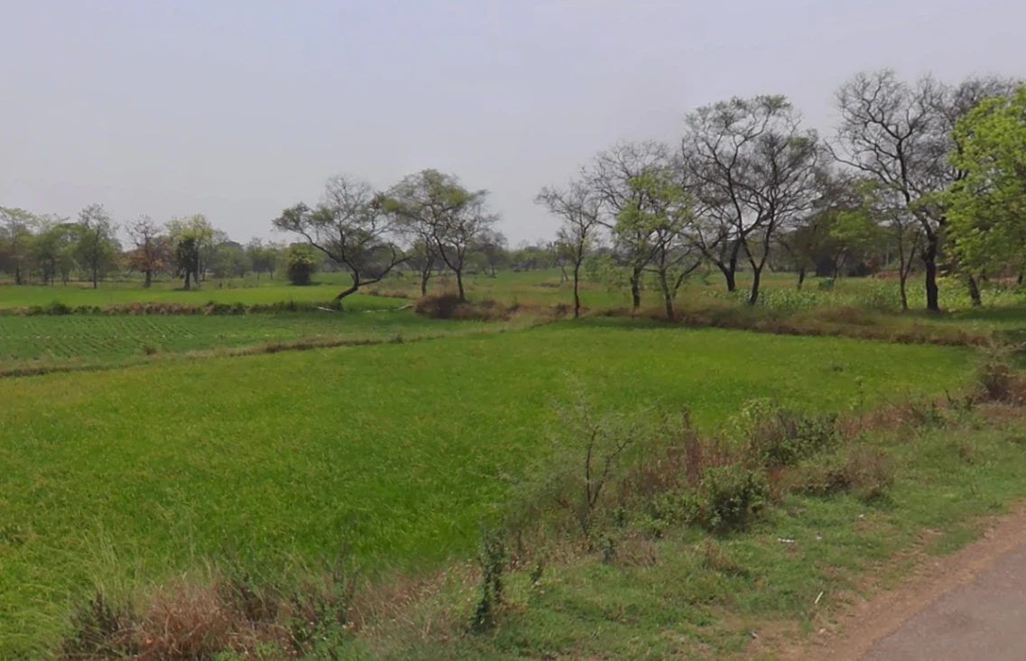 Wadsa, Chhattisgarh 494665, India