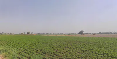 Kankaha, Uttar Pradesh 226301, India preview 2