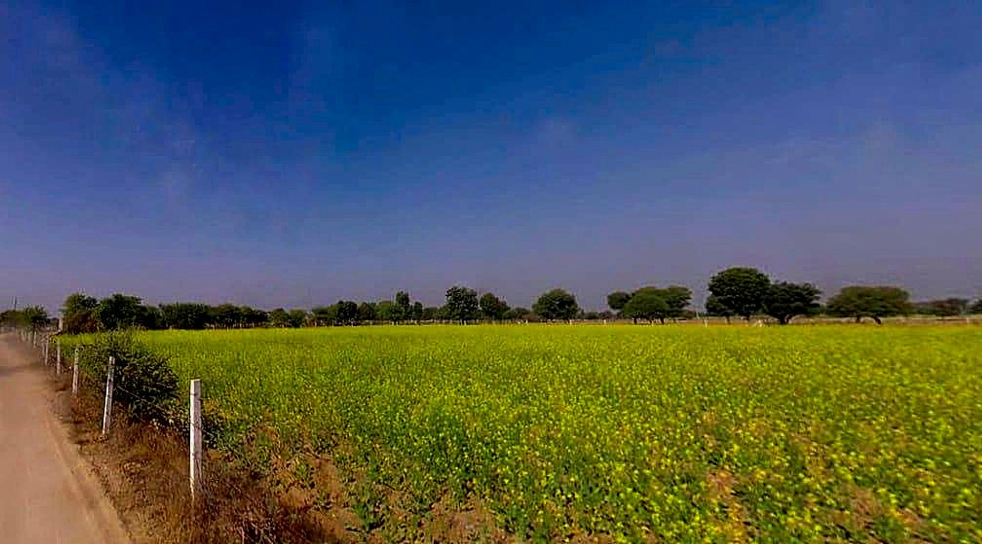 Ganeshpura, Rajasthan 303904, India