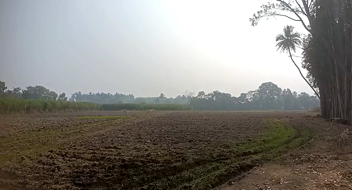 9R47+WX Bannur Rural, Karnataka, India