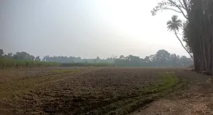 9R47+WX Bannur Rural, Karnataka, India preview 5