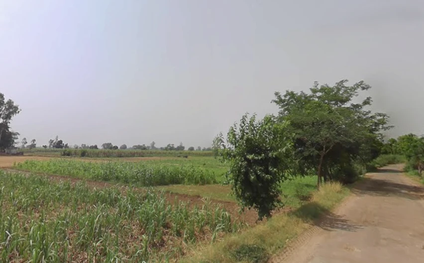 Bahorpur, Uttar Pradesh 250401, India