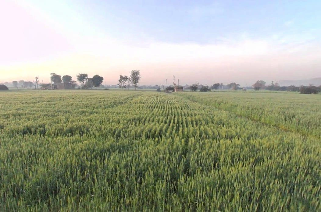 HRX7+2X Dohli, Rajasthan, India