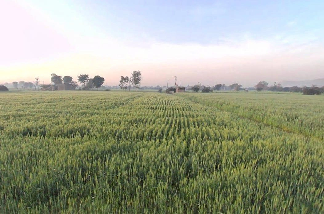 HRX7+2X Dohli, Rajasthan, India