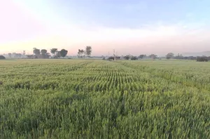 HRX7+2X Dohli, Rajasthan, India preview 3