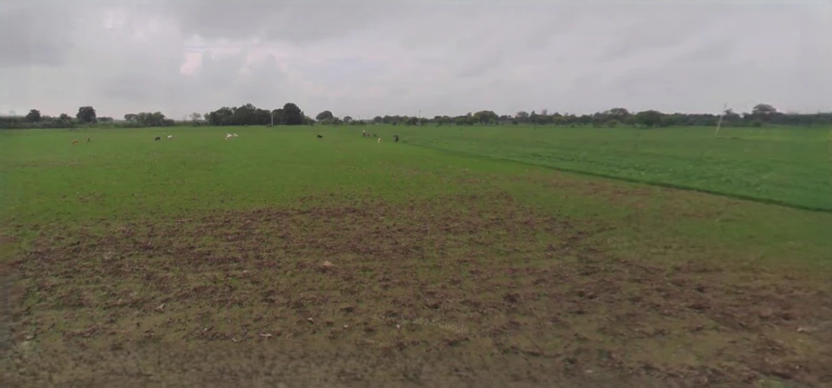 Jhajjar, Haryana 124103, India