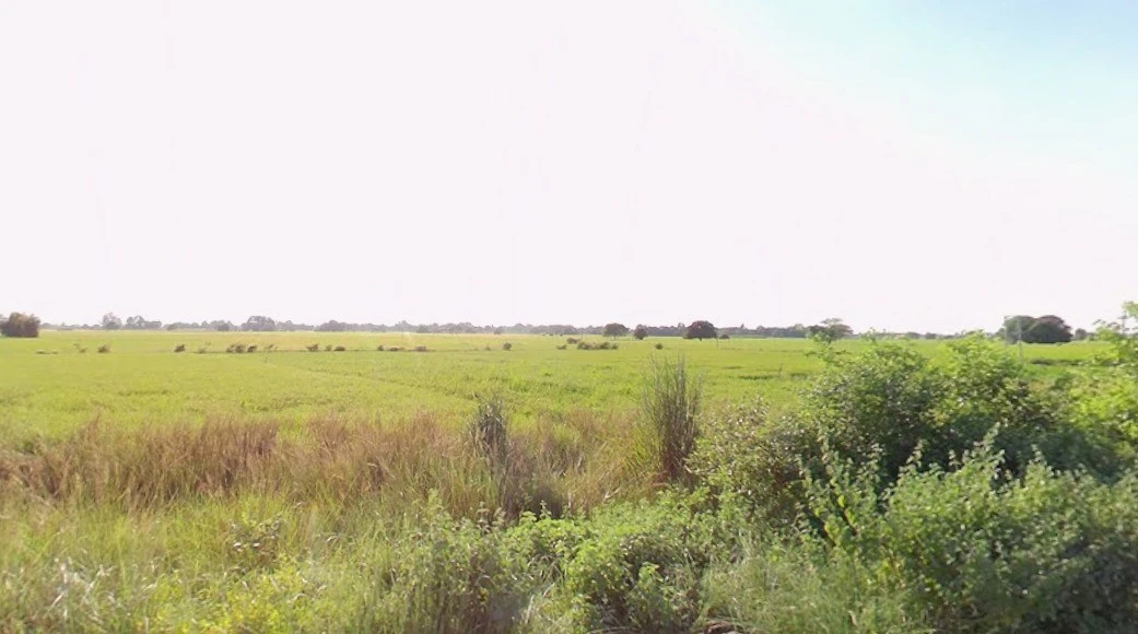 Indore, Madhya Pradesh, India