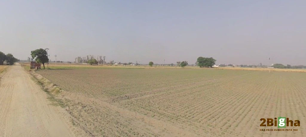 Dulhin Bazar, Bihar 801102, India