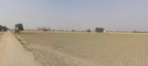 Dulhin Bazar, Bihar 801102, India preview 2
