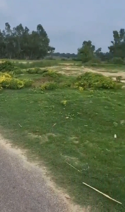 Barnagar, Madhya Pradesh 456771, India